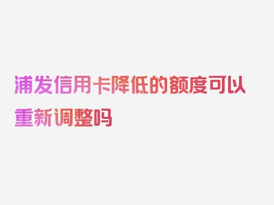 浦发信用卡降低的额度可以重新调整吗