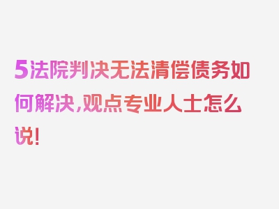 5法院判决无法清偿债务如何解决，观点专业人士怎么说！