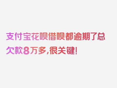 支付宝花呗借呗都逾期了总欠款8万多，很关键!