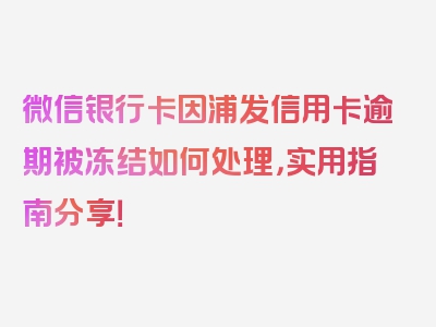 微信银行卡因浦发信用卡逾期被冻结如何处理，实用指南分享！