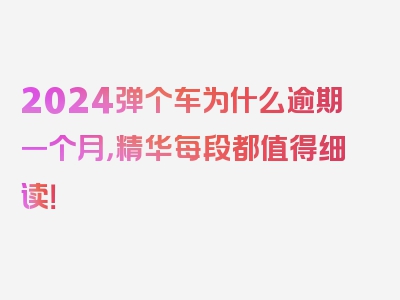 2024弹个车为什么逾期一个月，精华每段都值得细读！