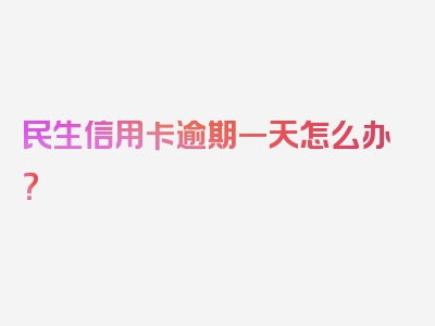 民生信用卡逾期一天怎么办？