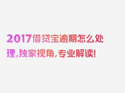 2017借贷宝逾期怎么处理，独家视角，专业解读！