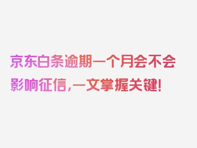 京东白条逾期一个月会不会影响征信，一文掌握关键！