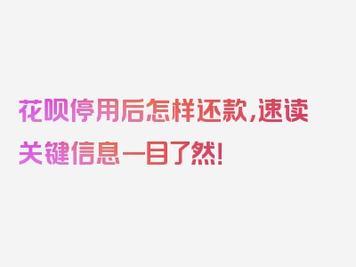 花呗停用后怎样还款，速读关键信息一目了然！