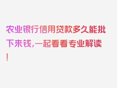 农业银行信用贷款多久能批下来钱，一起看看专业解读!