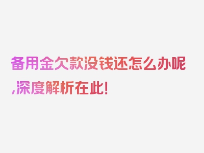 备用金欠款没钱还怎么办呢，深度解析在此！