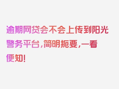 逾期网贷会不会上传到阳光警务平台，简明扼要，一看便知！