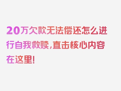 20万欠款无法偿还怎么进行自我救赎，直击核心内容在这里！