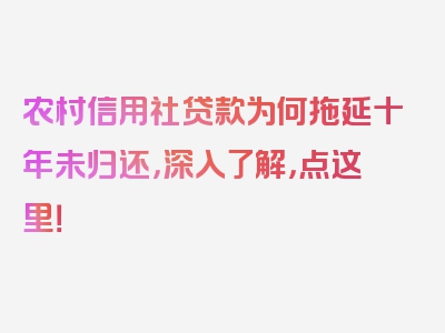 农村信用社贷款为何拖延十年未归还，深入了解，点这里！