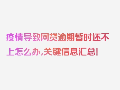 疫情导致网贷逾期暂时还不上怎么办，关键信息汇总！