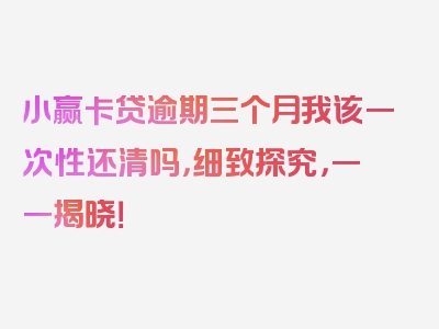 小赢卡贷逾期三个月我该一次性还清吗，细致探究，一一揭晓！