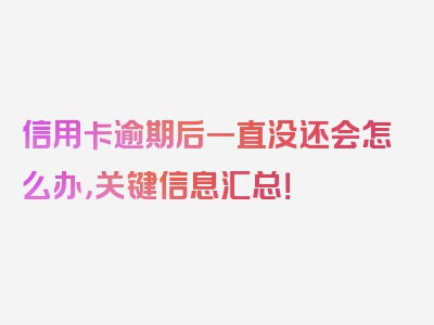 信用卡逾期后一直没还会怎么办，关键信息汇总！