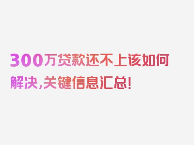 300万贷款还不上该如何解决，关键信息汇总！