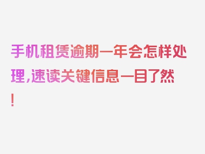 手机租赁逾期一年会怎样处理，速读关键信息一目了然！