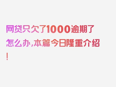 网贷只欠了1000逾期了怎么办，本篇今日隆重介绍!