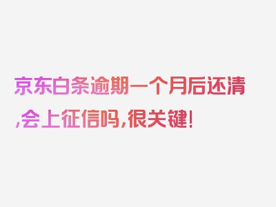 京东白条逾期一个月后还清,会上征信吗，很关键!