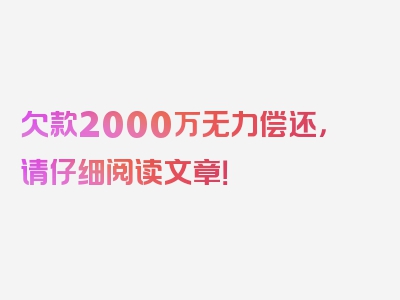 欠款2000万无力偿还，请仔细阅读文章！