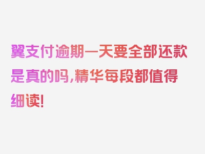 翼支付逾期一天要全部还款是真的吗，精华每段都值得细读！