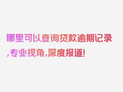 哪里可以查询贷款逾期记录，专业视角，深度报道！