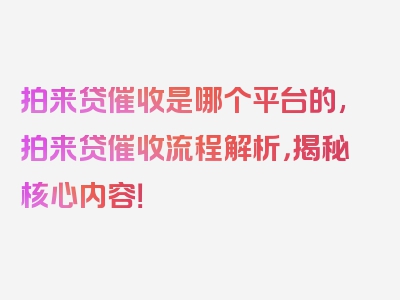 拍来贷催收是哪个平台的,拍来贷催收流程解析，揭秘核心内容！