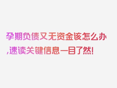 孕期负债又无资金该怎么办，速读关键信息一目了然！