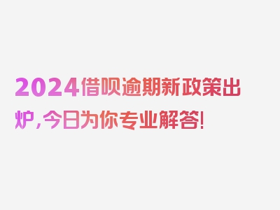 2024借呗逾期新政策出炉，今日为你专业解答!