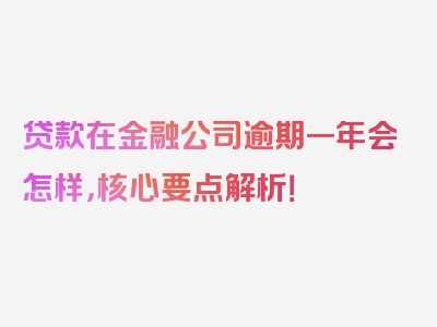 贷款在金融公司逾期一年会怎样，核心要点解析！