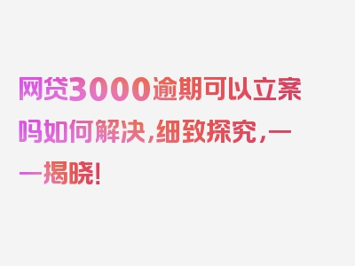 网贷3000逾期可以立案吗如何解决，细致探究，一一揭晓！