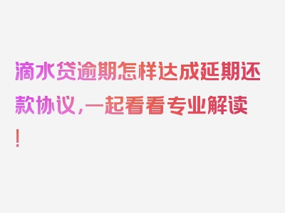 滴水贷逾期怎样达成延期还款协议，一起看看专业解读!