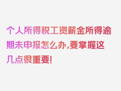 个人所得税工资薪金所得逾期未申报怎么办，要掌握这几点很重要！