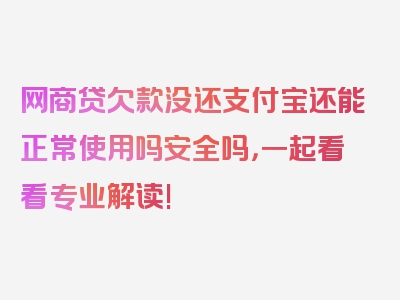 网商贷欠款没还支付宝还能正常使用吗安全吗，一起看看专业解读!