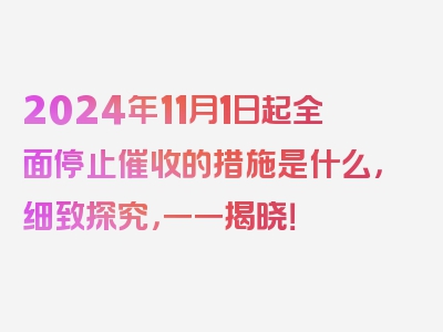 2024年11月1日起全面停止催收的措施是什么，细致探究，一一揭晓！