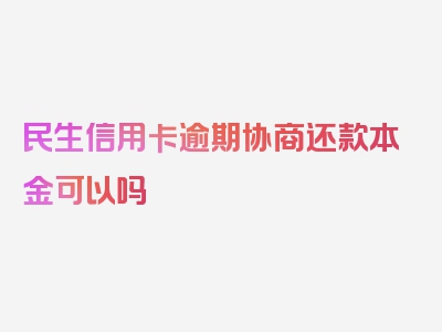 民生信用卡逾期协商还款本金可以吗