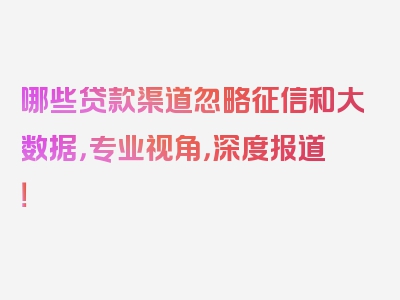 哪些贷款渠道忽略征信和大数据，专业视角，深度报道！