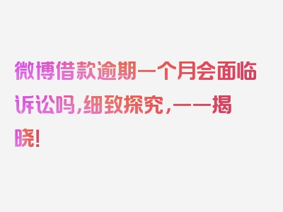 微博借款逾期一个月会面临诉讼吗，细致探究，一一揭晓！