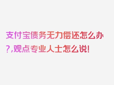 支付宝债务无力偿还怎么办?，观点专业人士怎么说！