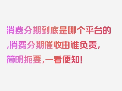 消费分期到底是哪个平台的,消费分期催收由谁负责，简明扼要，一看便知！