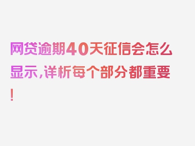 网贷逾期40天征信会怎么显示，详析每个部分都重要！