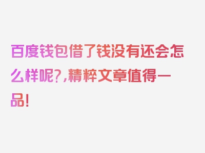 百度钱包借了钱没有还会怎么样呢?，精粹文章值得一品！