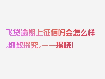 飞贷逾期上征信吗会怎么样，细致探究，一一揭晓！