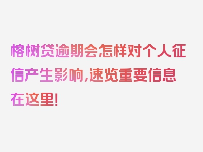 榕树贷逾期会怎样对个人征信产生影响，速览重要信息在这里！