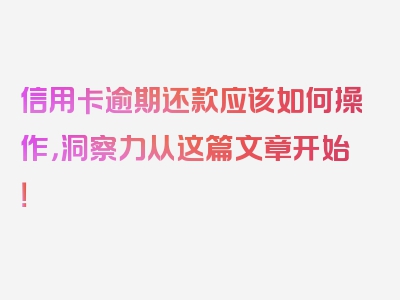 信用卡逾期还款应该如何操作，洞察力从这篇文章开始！