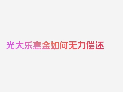 光大乐惠金如何无力偿还