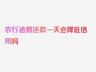 农行逾期还款一天会降低信用吗