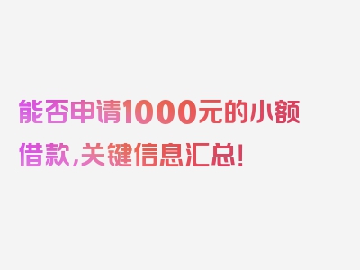 能否申请1000元的小额借款，关键信息汇总！