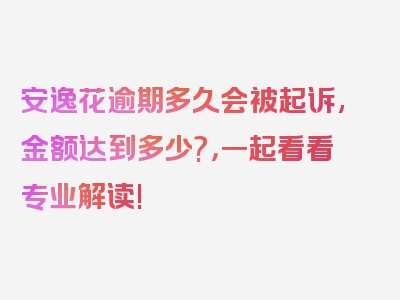 安逸花逾期多久会被起诉,金额达到多少?，一起看看专业解读!