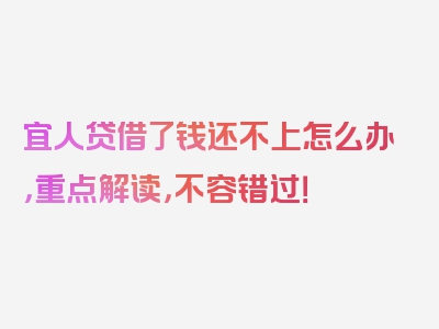 宜人贷借了钱还不上怎么办，重点解读，不容错过！