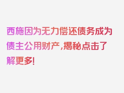 西施因为无力偿还债务成为债主公用财产，揭秘点击了解更多！