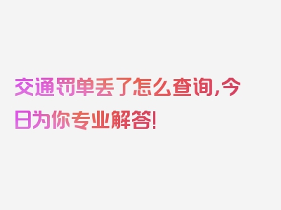 交通罚单丢了怎么查询，今日为你专业解答!